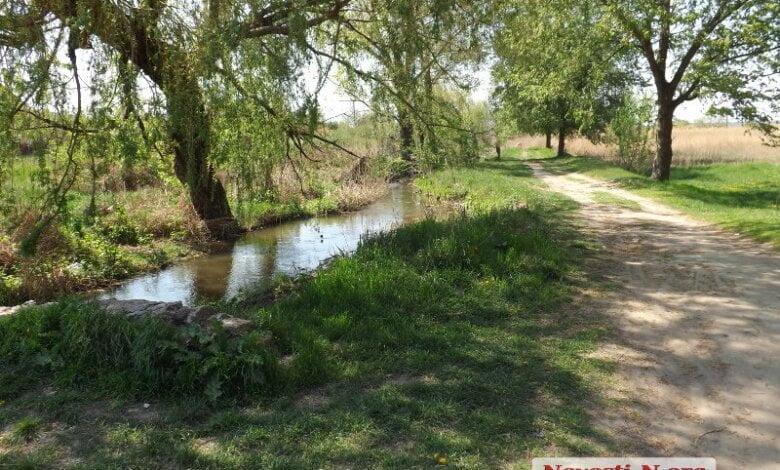 Проекты так и остались пылиться в столах... Парк "Богоявленский" удручает своей заброшенностью | Корабелов.ИНФО