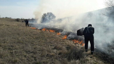 Поджоги камыша и травы тушили в Корабельном и Витовском районах | Корабелов.ИНФО
