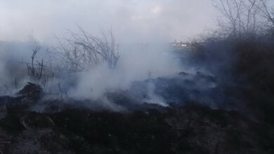 Ймовірно, навмисний підпал: площа пожежі в у Балабанівському лісі склала 1100 кв.м. | Корабелов.ИНФО