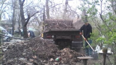 Уборка в Корабельном районе: вывезено 250 кубов мусора с несанкционированных свалок | Корабелов.ИНФО image 5