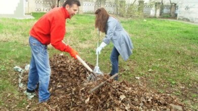 Біля ПК «Корабельний» стало чистіше - працівники палацу провели толоку | Корабелов.ИНФО image 2