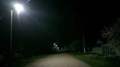 "Было стремновато": в Корабельном районе ветка с тополя упала прямо на детскую коляску с ребенком | Корабелов.ИНФО образ 1