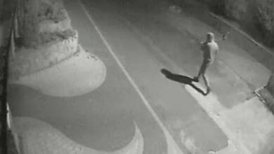 В Николаеве догхантер отравил двух собак, подбросив яд во двор частного дома | Корабелов.ИНФО