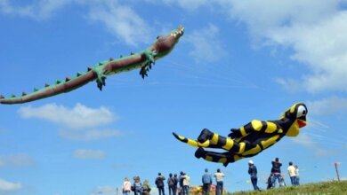 Не змеями едиными: на этих выходных под Николаевом состоится грандиозный кайт-фестиваль | Корабелов.ИНФО image 1