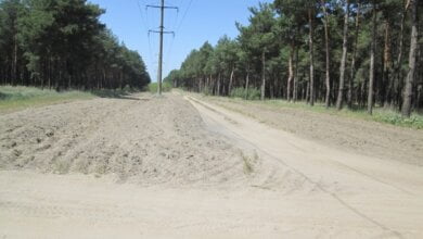 Чтобы уберечь Балабановский лес от пожаров, в нем создано 80 км минерализованных полос | Корабелов.ИНФО image 1