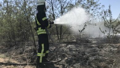 Из-за человеческой халатности снова горел Балабановский лес | Корабелов.ИНФО image 2