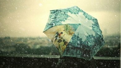 Похолодает: на завтра в Николаеве синоптики обещают дожди и до +22º | Корабелов.ИНФО