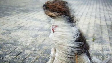 В Николаеве объявили штормовое предупреждение | Корабелов.ИНФО