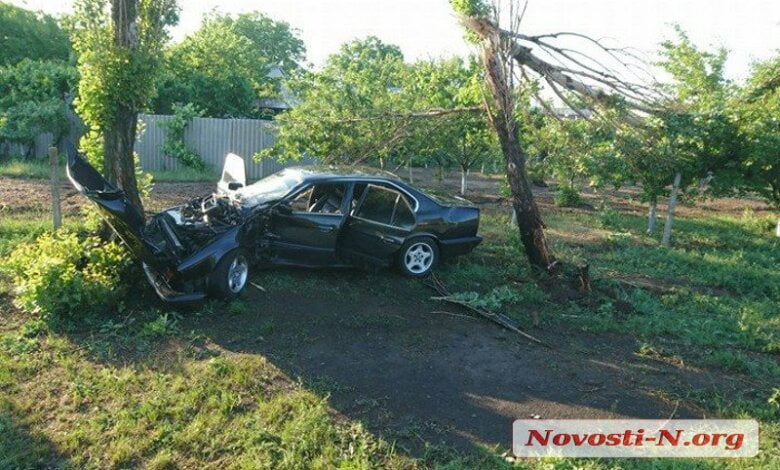 В Витовском районе BMW слетел с трассы и врезался в дерево: пострадали два человека | Корабелов.ИНФО image 2