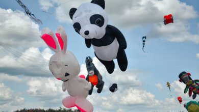 Дракон, панда и осел: на Николаевском фестивале в небо взмыли сотни удивительных змеев | Корабелов.ИНФО