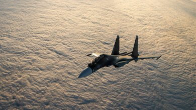 Российский истребитель Су-30 потерпел крушение в Сирии | Корабелов.ИНФО