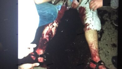 Кровавый конфликт в николаевской «наливайке» закончился поножовщиной | Корабелов.ИНФО image 1