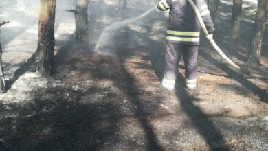 Близько 40 пожеж лише за останній місяць сталося на відкритих територіях та лісах у Корабельному районі | Корабелов.ИНФО image 3