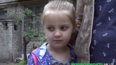 На 5-летнюю девочку в Николаеве напала собака, ребенок остался со шрамом и психологической травмой (Видео) | Корабелов.ИНФО