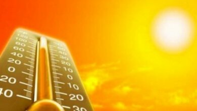 В Николаеве в среду синоптики обещают летние +30º | Корабелов.ИНФО
