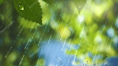 Кратковременные дожди, грозы и до +25º: субботняя погода в Николаеве | Корабелов.ИНФО