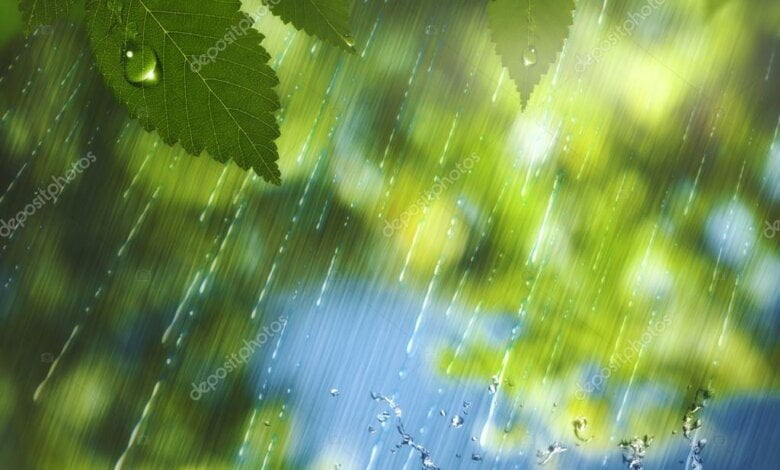 Кратковременные дожди, грозы и до +25º: субботняя погода в Николаеве | Корабелов.ИНФО