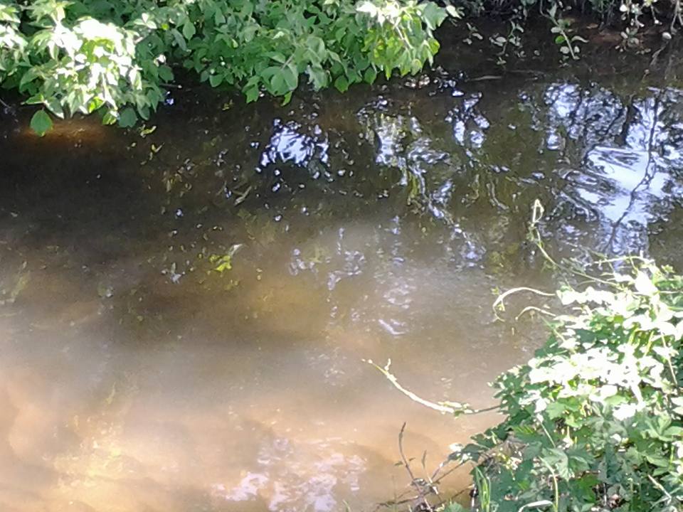 "Еще Потёмкин плавал здесь на лодке". В Корабельном районе активисты установили табличку "Річка Вітовка" | Корабелов.ИНФО image 17