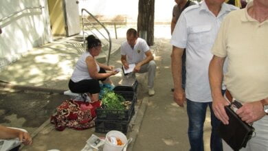 Очередной рейд против стихийной торговли провели в Корабельном районе: составили всего 8 протоколов | Корабелов.ИНФО image 3