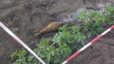 Пиротехники уничтожили минометную мину, найденную на поле возле села Галицыново | Корабелов.ИНФО