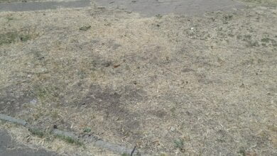 «Не жалейте нашего главу района, у нас все тоже плохо», - николаевец из Корабельного обратился к Сенкевичу | Корабелов.ИНФО image 5