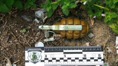 Біля зупинки громадського транспорту у Вітовському районі виявили бойову гранату. Тут же і підірвали (ВІДЕО) | Корабелов.ИНФО image 2