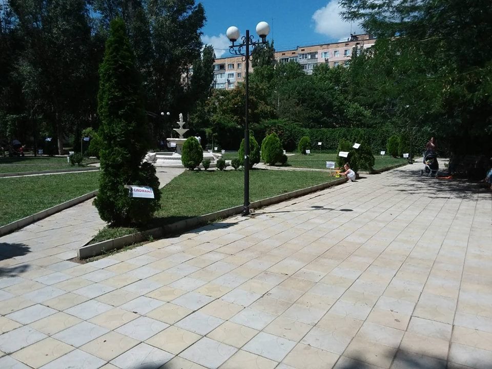 таблички "позора" в дендропарке