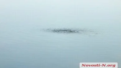 Уровень загрязнения реки в Николаеве превышен почти в 5000 раз - течет канализация (видео) | Корабелов.ИНФО image 1