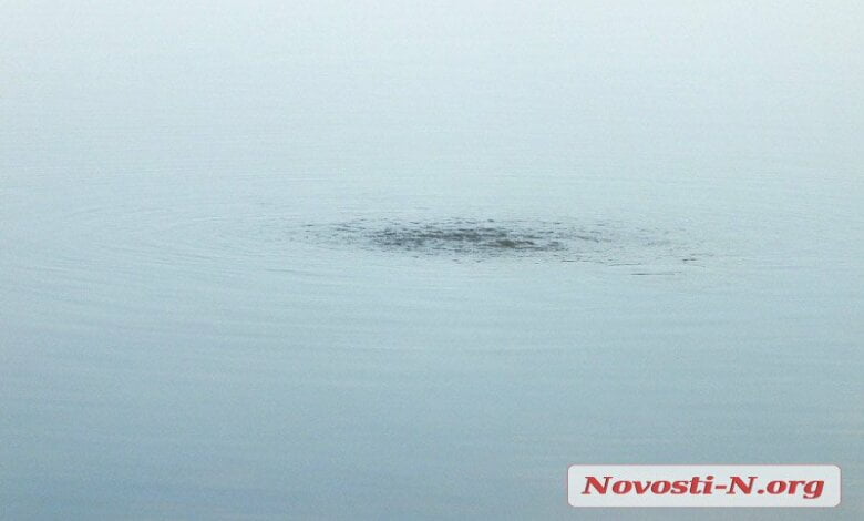 Уровень загрязнения реки в Николаеве превышен почти в 5000 раз - течет канализация (видео) | Корабелов.ИНФО image 1