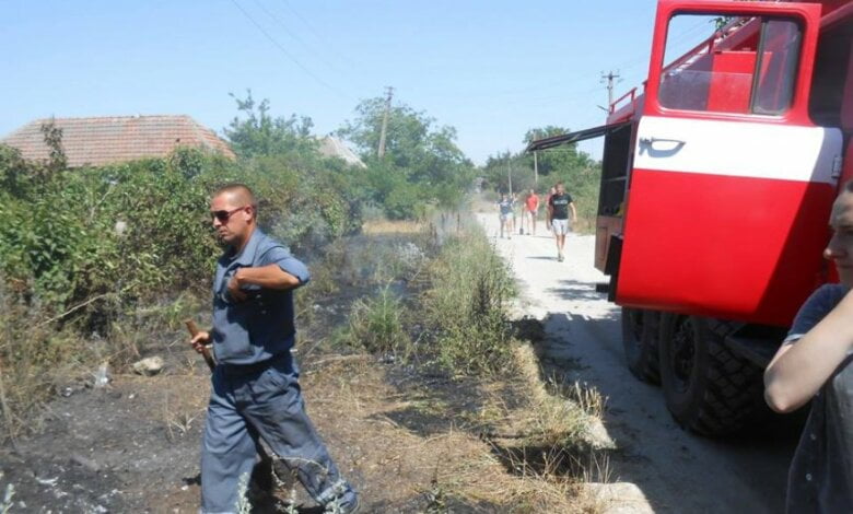 Из-за детской шалости в селе Лупарево горели две улицы | Корабелов.ИНФО image 1