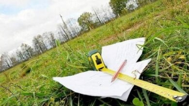 Фермерское хозяйство в Витовском районе использовало в своих целях почти 32 га государственной земли | Корабелов.ИНФО