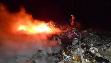 В Николаеве горел Балабановский лес – спасатели считают, что причиной пожара стал поджог | Корабелов.ИНФО