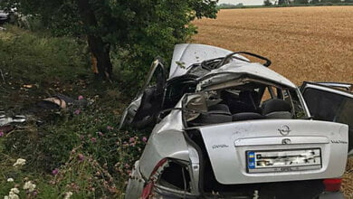 На Николаевщине «Opel Vectra» въехал в дерево – двое пассажиров погибли | Корабелов.ИНФО