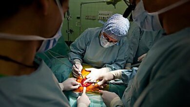 Порошенко подписал закон о трансплантации органов | Корабелов.ИНФО