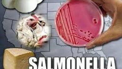 «Праздновали день рождения в кафе», - в Николаевской области шесть человек заболели сальмонеллезом | Корабелов.ИНФО