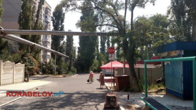 "Все это вводит в заблуждение", - жители Корабельного, перед чьим домом "на участке в 20 метров установили 12 дорожных знаков" | Корабелов.ИНФО image 3