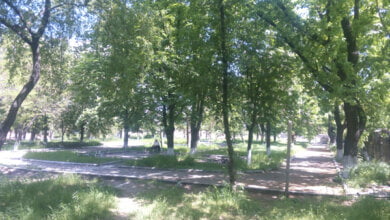 Боротьба з забудовою дитячого містечка «Світлофор» церквою МП триває. Прояви антинародного зонування Сєнкевича та "регіоналів" | Корабелов.ИНФО image 1