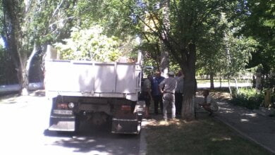 «Жители улицы Рыбной не удаляют вовремя амброзию и складируют строймусор», - администрация Корабельного района | Корабелов.ИНФО image 4