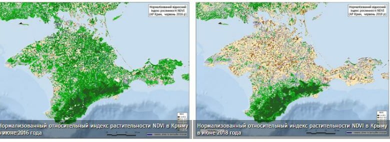 В оккупированном Крыму показали масштабы исчезновения растительности на полуострове | Корабелов.ИНФО