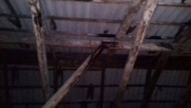 "Потолок никогда не просыхает": в домах на округе депутата Ентина в Корабельном районе протекают крыши и водятся вши | Корабелов.ИНФО image 3