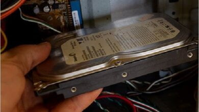 «Репин указал», - чиновник о том, как нашелся пропавший жесткий диск с документацией по скандальному конкурсу | Корабелов.ИНФО