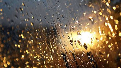 В Николаеве объявили штормовое предупреждение – ожидают грозу и шквальной ветер | Корабелов.ИНФО