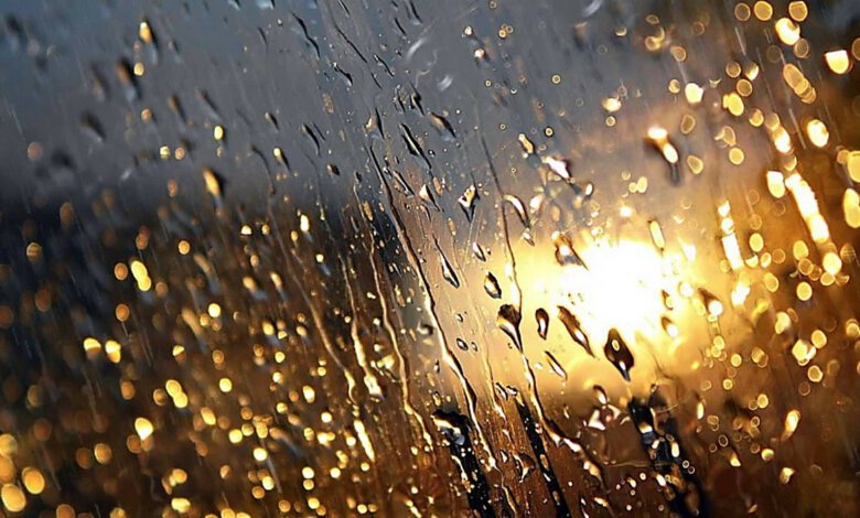 В Николаеве объявили штормовое предупреждение – ожидают грозу и шквальной ветер | Корабелов.ИНФО