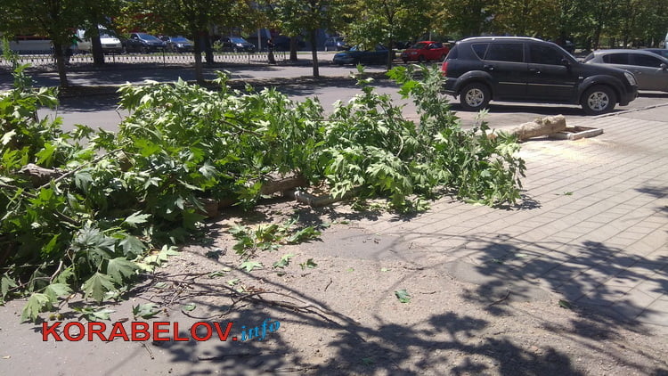 снос деревьев на пр. Корабелов