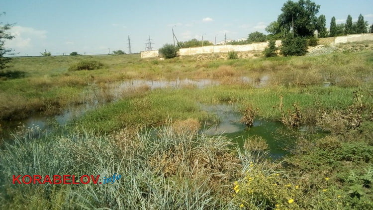 канализационное озеро по ул. Океановской