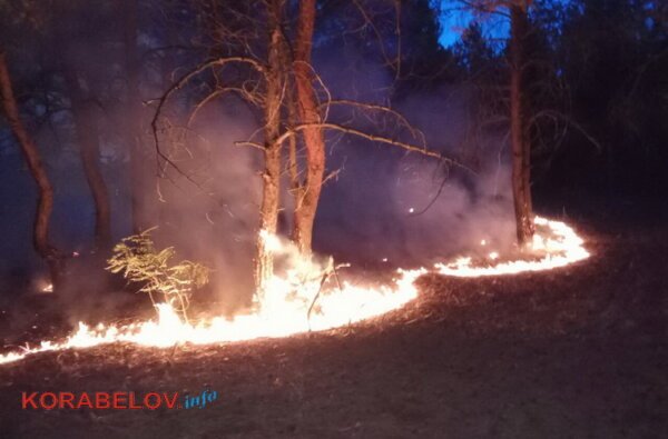 Огонь не прощает ошибок: в Балабановском лесу - очередной пожар (ВИДЕО) | Корабелов.ИНФО