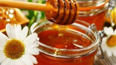 В этот день особо поминали погибших казаков и обращались с просьбами к цветам: 14 августа - Медовый Спас или Маковея | Корабелов.ИНФО