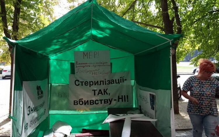 «Собачий протест» в Николаеве: зоозащитники установили палаточный городок под горисполкомом | Корабелов.ИНФО image 3