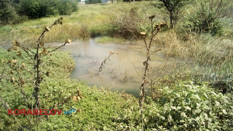 канализационное озеро по ул. Океановской
