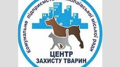 Госисполнители заблокировали работу николаевского КП «Центр защиты животных», арестовав его счет | Корабелов.ИНФО image 3